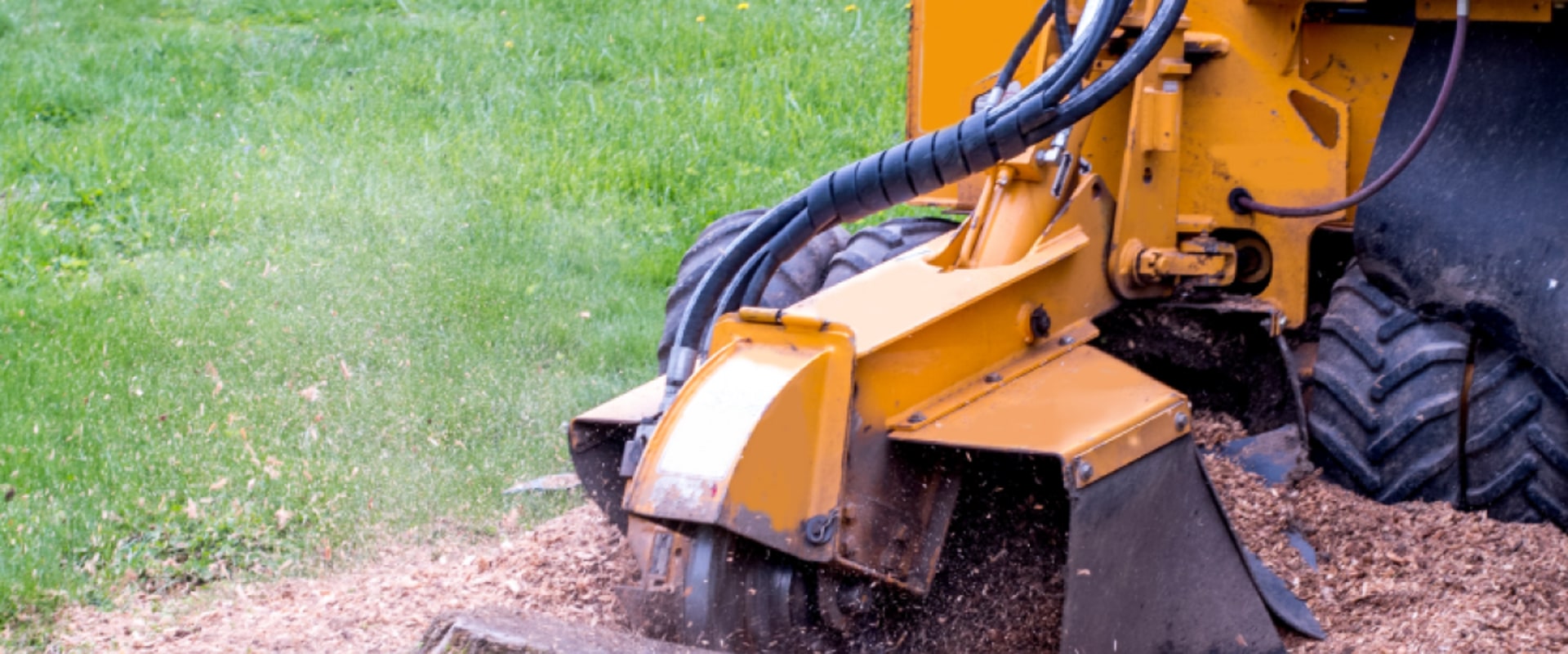Everything You Need to Know About Stump Grinding