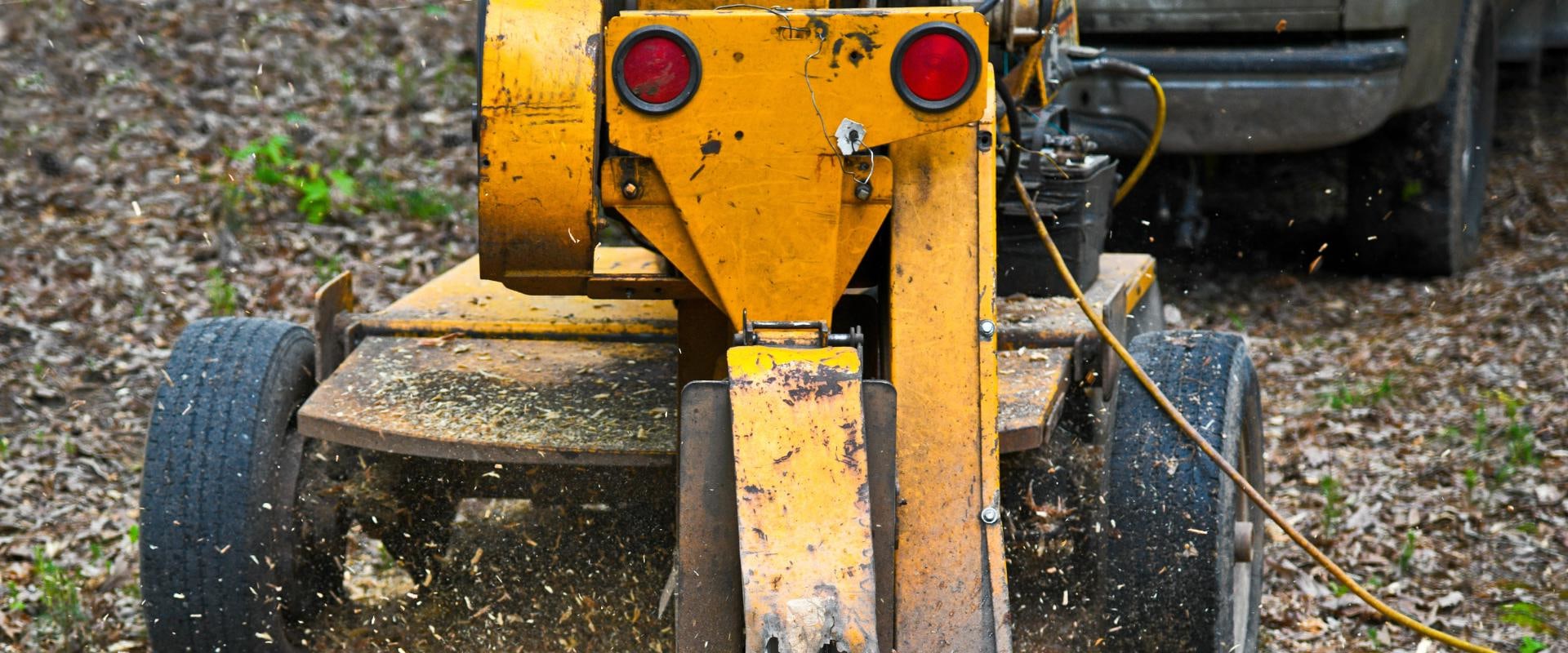 The Environmental Benefits of Stump Grinding