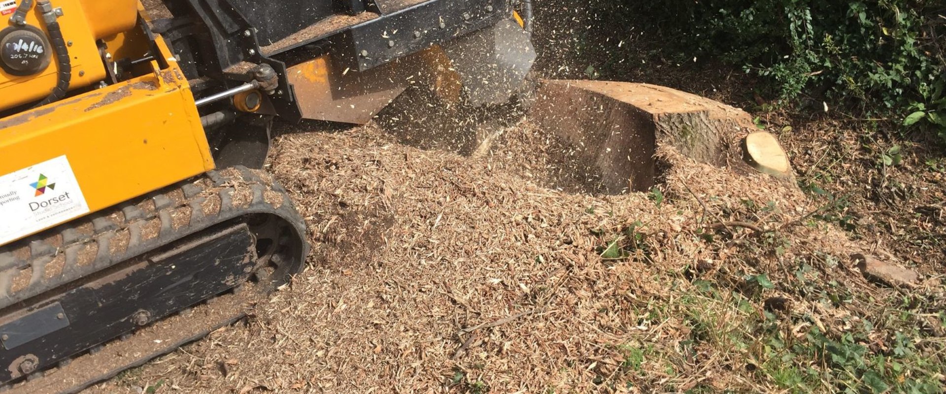 Efficient Stump Grinding in South Hampton Roads