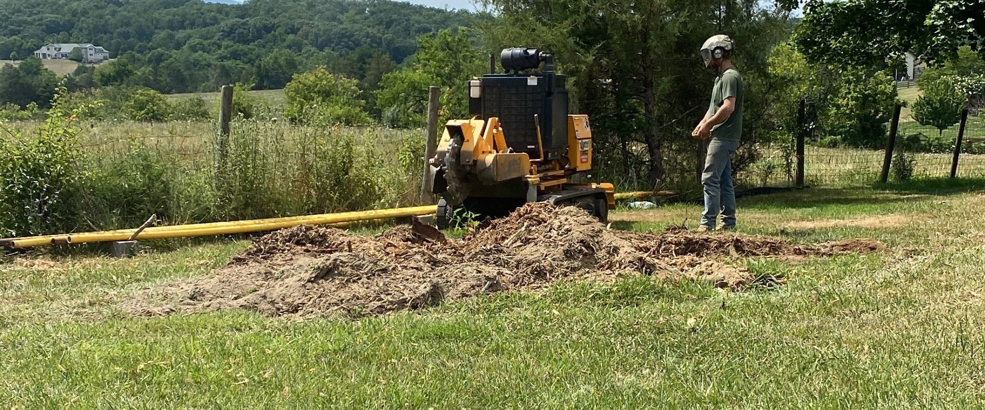 The Importance Of Stump Grinding After Tree Trimming In Johnson City