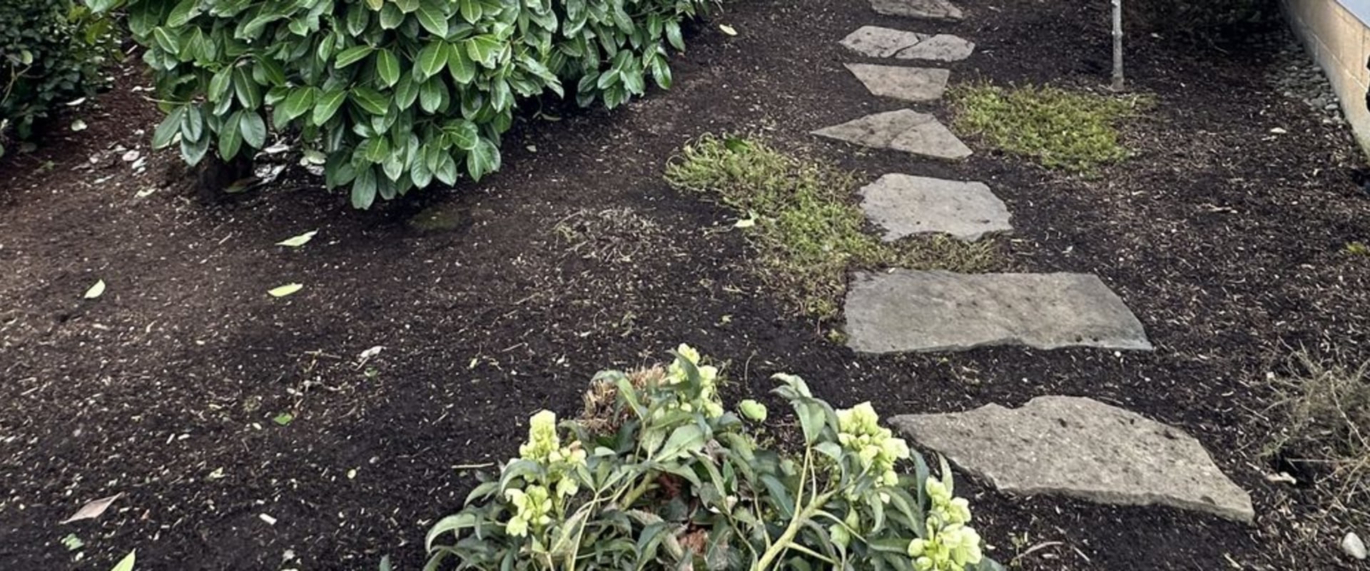 Stump Grinding Is Done: Now It’s Time To Transform Your Yard With A Landscape Designer In Damascus, OR
