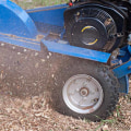 Everything You Need to Know About Stump Grinding