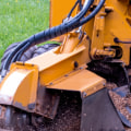 Everything You Need to Know About Stump Grinding