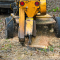 The Environmental Benefits of Stump Grinding