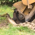 What Does Stump Grinding Look Like?
