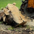 How Much Money Can You Make with a Stump Grinder?