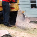 The Benefits of Stump Grinding: Why You Should Consider It