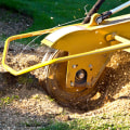 Why is Stump Grinding So Expensive?