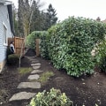 Stump Grinding Is Done: Now It’s Time To Transform Your Yard With A Landscape Designer In Damascus, OR