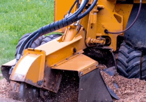 Everything You Need to Know About Stump Grinding