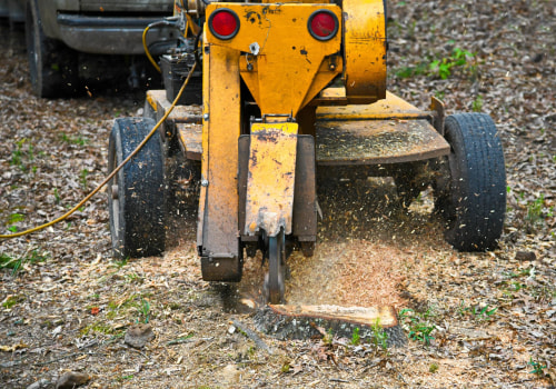 The Environmental Benefits of Stump Grinding