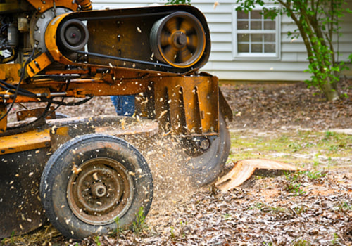 When is Stump Grinding Necessary? A Comprehensive Guide