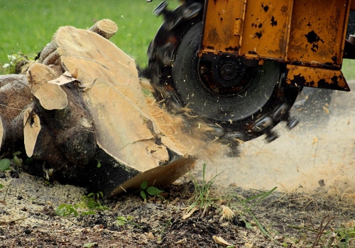 How Much Money Can You Make with a Stump Grinder?