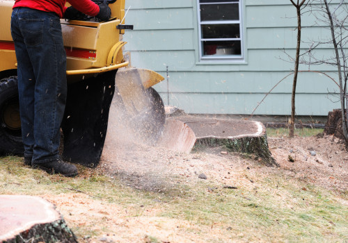 The Benefits of Stump Grinding: Why You Should Consider It