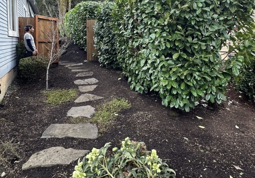 Stump Grinding Is Done: Now It’s Time To Transform Your Yard With A Landscape Designer In Damascus, OR